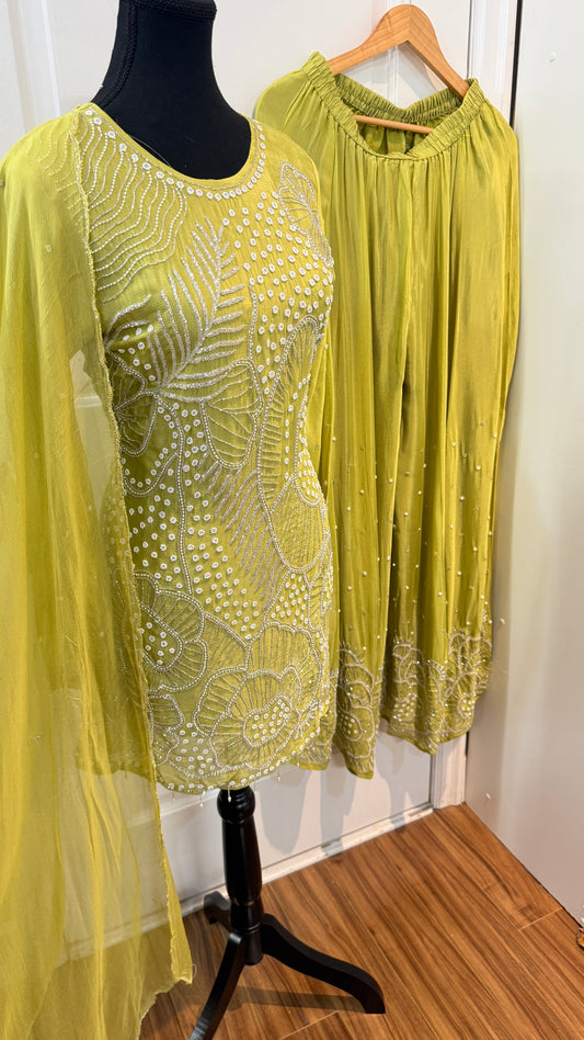 Chinnon full handwork sharara suit